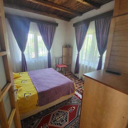 Casa Roza Lägenhet Breaza  Exteriör bild